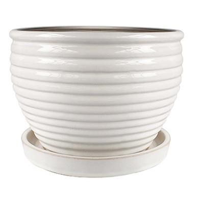 6 In. Honey Jar Planter, Ceramic, White (6 pieces)