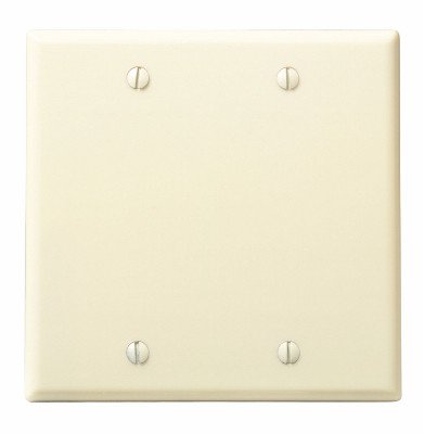 2G IV BLANK WALLPLATE