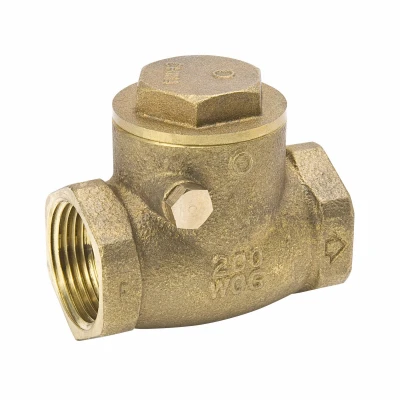 Threaded Swing Check Valve, Brass, 1/2 In.