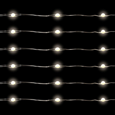 100 WW/Slv Seed Lights