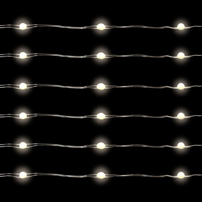 100 PW/Slv Seed Lights