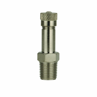 Air Valve, Chrome & Zinc-Plated, .25-In.