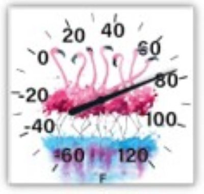 Flamingo Thermometer, Square