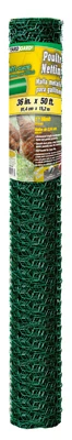 Poultry Netting, Green PVC Coating, 1-In. Mesh, 36-In. x 50-Ft.