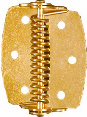 Spring Hinge, Brass, 2 In., 2-Pk.