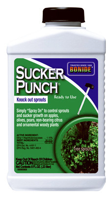 Sucker Punch, Plant Growth Regulator, Sprout Control Liquid with Brush Applicator, 8 oz. Ready-to-Use