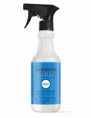 Multi-Surface Everyday Cleaner, Blueberry Scent, 16 oz.