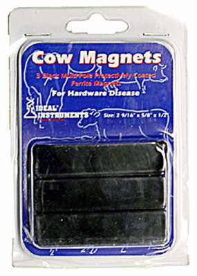 Rumen Magnet, Ceramic, 3-Pk.