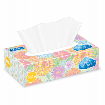 Facial Tissues, Unscented, Assorted Colors & Designs On Box, , 100-Ct.