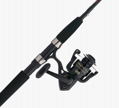 PENN Wrath II WRTHII8000 10FT 2PC H CBO
