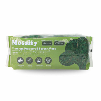 150g Premium Preserved Forest Moss Bag