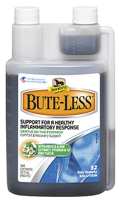 Bute-Less Equine Recovery Support Solution, 32-oz.