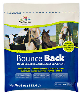Bounce-Back Electrolyte Supplement For Livestock, 4-oz.