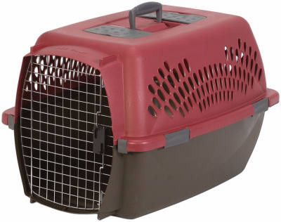 Pet Taxi, Large