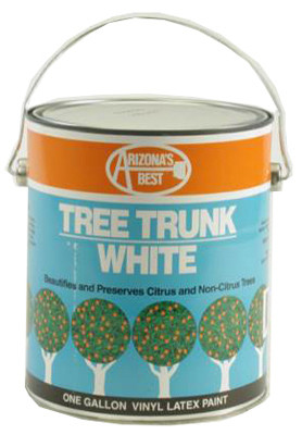 White Tree Paint, Gallon