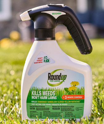Roundup For Lawns Northern RTU Quickhand 1.5L