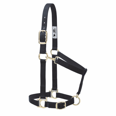 Nylon Horse Halter, Adjustable, Black, Average