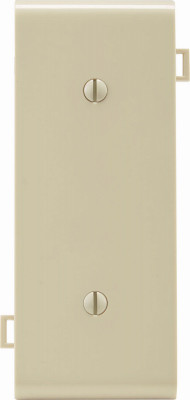 IV BLANK CENTER PLATE