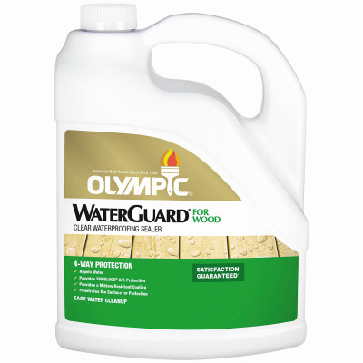 Waterguard Wood Sealer, Clear, 1-Gallon