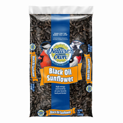 Black Oil Sunflower Seed Wild Bird Food, 5 Lb. Bag