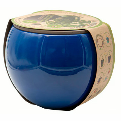 6.75"NB Aqua Planter