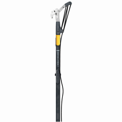Tree Pruner, Lightweight, 12 Ft. Extended Reach