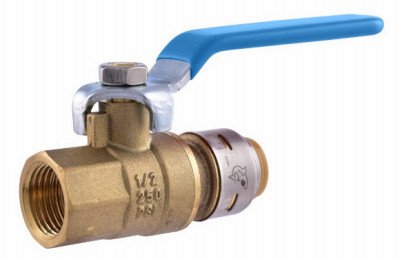 Push-Fit Ball Valve, Lead Free, 1/2 x 1/2 In. FNPT