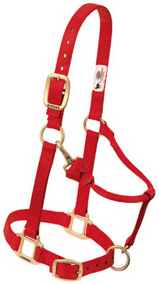 Snap Halter, Red, 1 In., Average-Size Horse