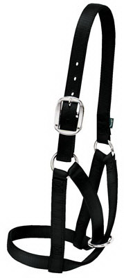 Barn Cow Halter, Black Nylon, 1 In. Small