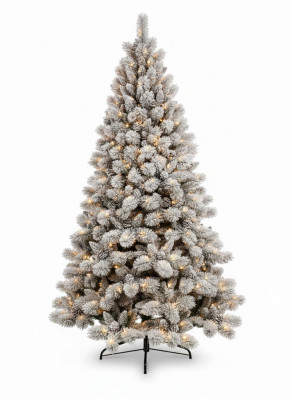 7.5' Flocked Edgewood Pine with 600L warm white LED Lights