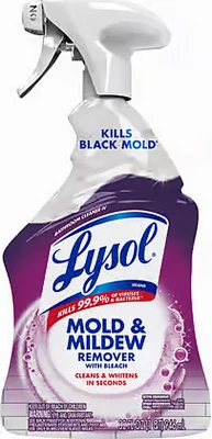Bathroom Cleaner with Bleach, 32 oz.