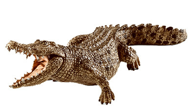 Crocodile Toy Animal Figure, Ages 3 & Up (5 pieces)