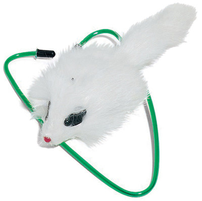 A-Door-Able Bouncing Mouse Cat Toy