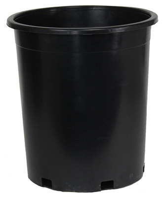 Nursery Planter, Black Plastic, #5, 3.76-Gallons (30 pieces)
