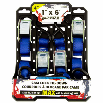 1"x6' Cam Lock Tie Down