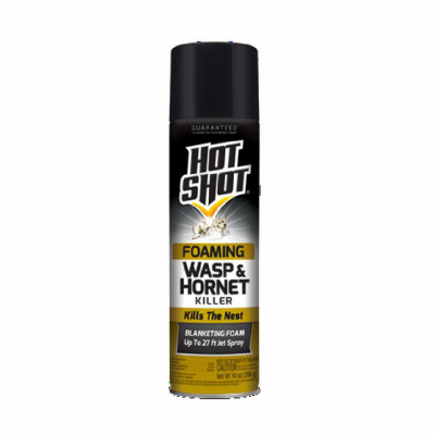 Foaming Wasp & Hornet Killer 14 ounce