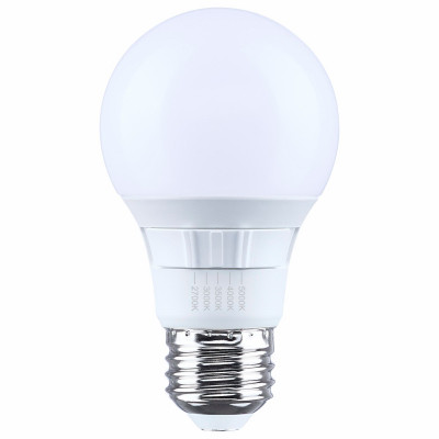 60W A19 LED 5CCT Bulb