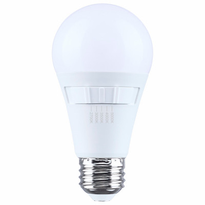 100W A19 LED 5CCT Bulb