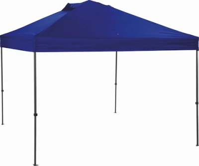 10x10' Instant Canopy