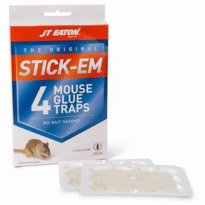 4PK GLUE MOUSE TRAP