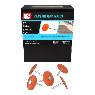 LB 1" EG ROOF NAIL