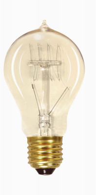 60W A19 Vintage Bulb