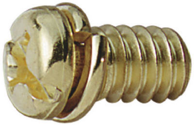 Ceiling Fan Motor Screws, Brass Finish, 10-Pk.