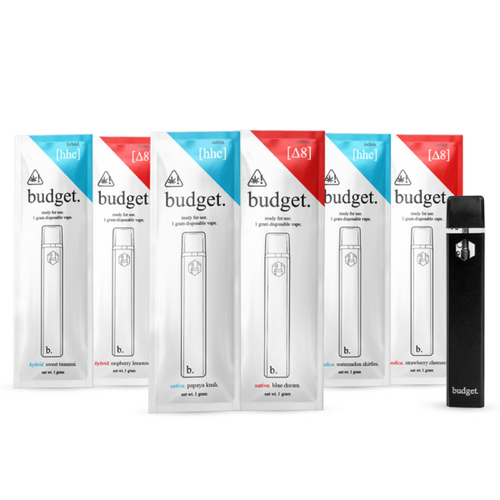 Budget 1 gram Disposable Vape