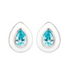 Sterling Silver Aqua CZ with white Enamel Earrings