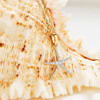 14kt Gold Lab Grown Diamond Starfish on Bail Necklace