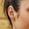 Dolphin Stud Earrings with Aqua Crystals