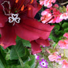 Open Shamrock Necklace Embellished With Crystals