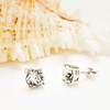 Sterling Silver with White Crystal Stud Earrings