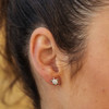 Stud Turtle Earrings with Crystals